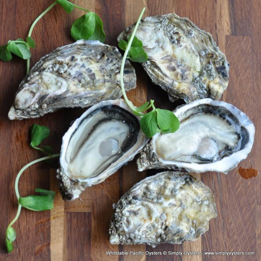 Whitstable Oysters Selection Box UK Delivery Simply Oysters